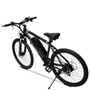Lucky Liang DS01 Electric Bicycle – 500W, 48V 13Ah Battery | AED 1,995