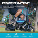Windhorse W3 Folding Electric Bicycle – 500W, 36V 8Ah Battery | AED 1,450