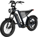 Windhorse D3 Electric Bicycle – 1000W, 48V 18Ah Battery | AED 3,650
